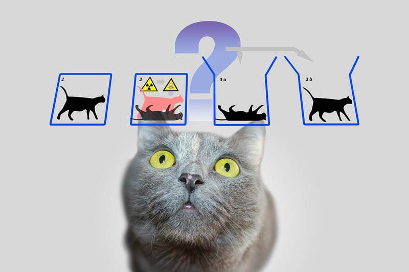 Quantum Communication